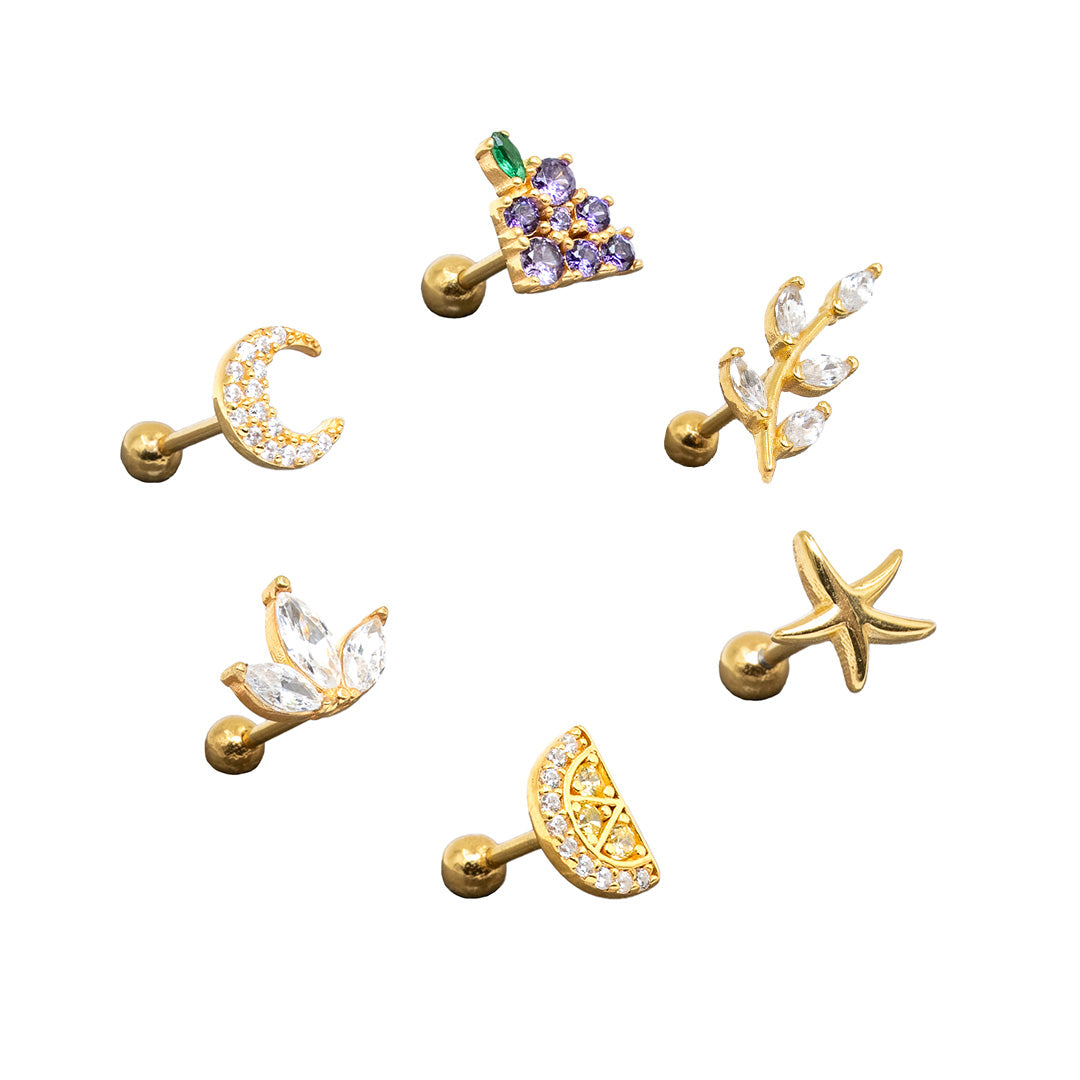 6x Piercing Set