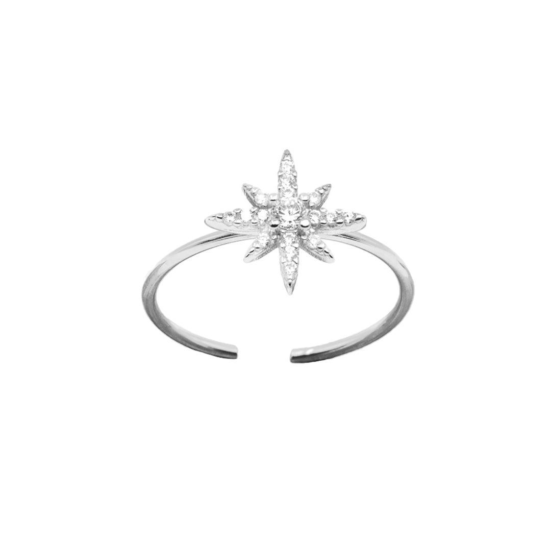 Shiny Ring
