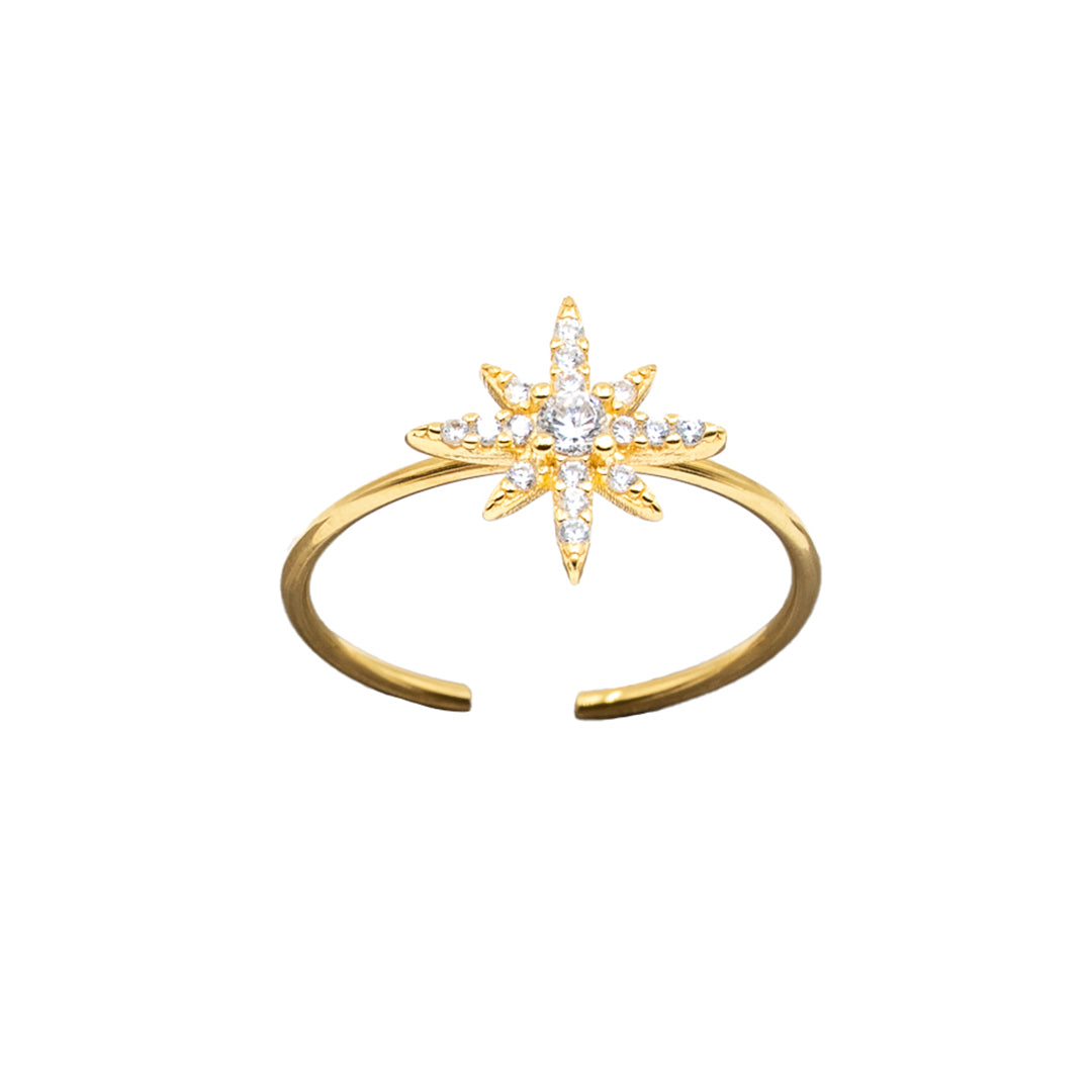 Shiny Ring